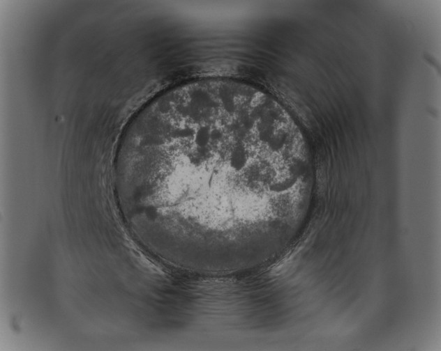 X0000098120721200804251451