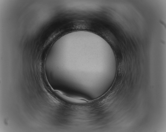 X0000098120722200804251451