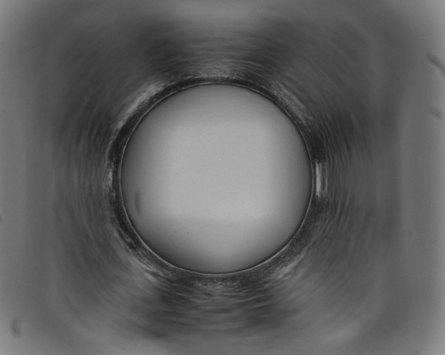 X0000098120723200804251451