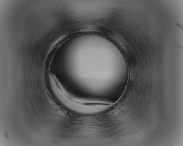 X0000098120724200804251451