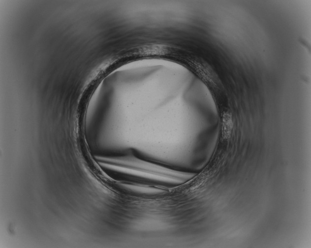 X0000098120726200804251451