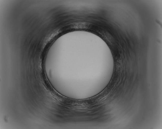 X0000098120727200804251451