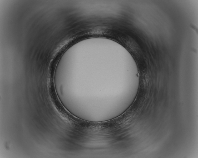 X0000098120728200804251451