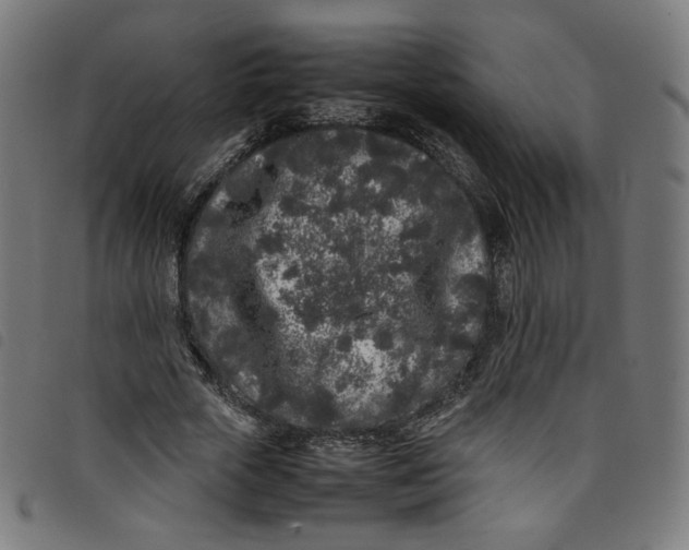 X0000098120729200804251451
