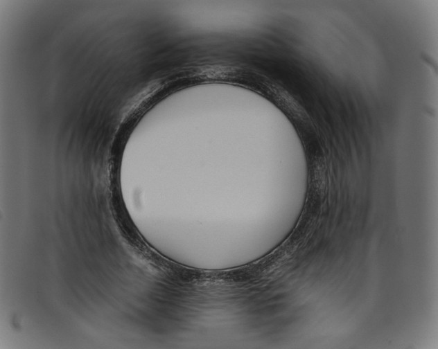 X0000098120730200804251451