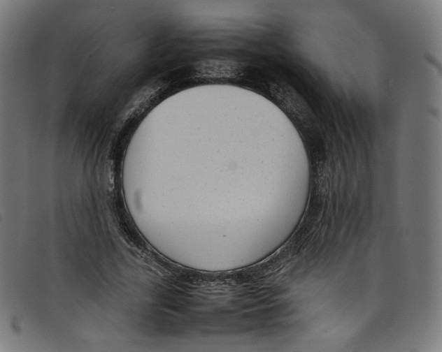X0000098120731200804251451