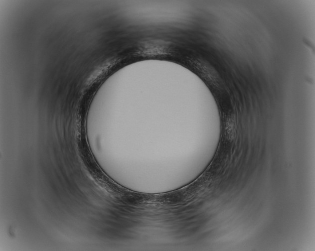 X0000098120732200804251451