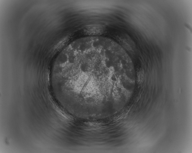 X0000098120733200804251451