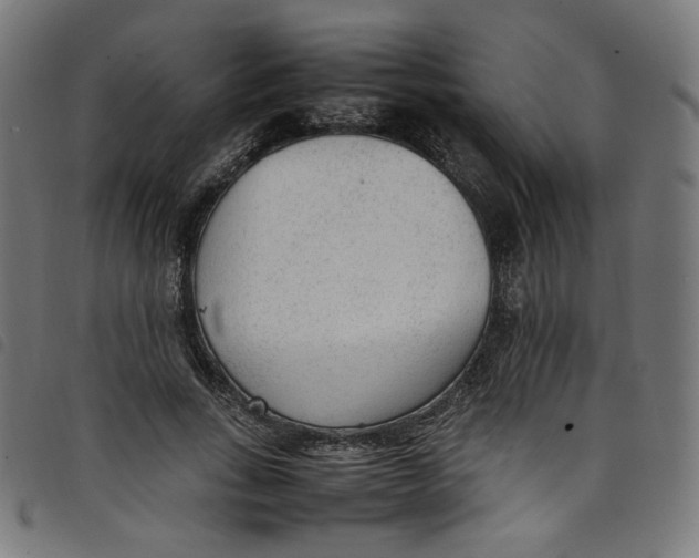 X0000098120735200804251451