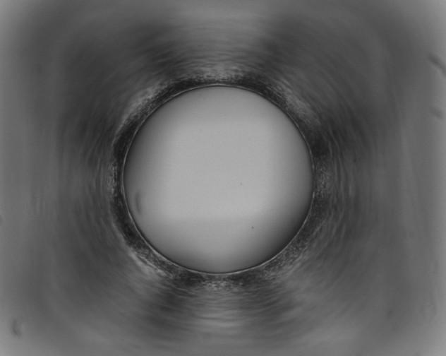 X0000098120736200804251451