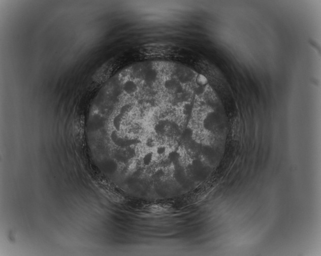 X0000098120737200804251451