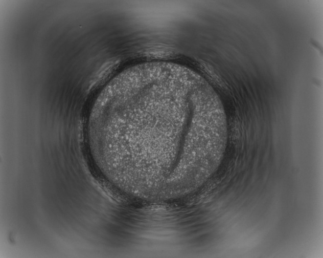 X0000098120738200804251451