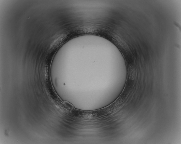 X0000098120740200804251451