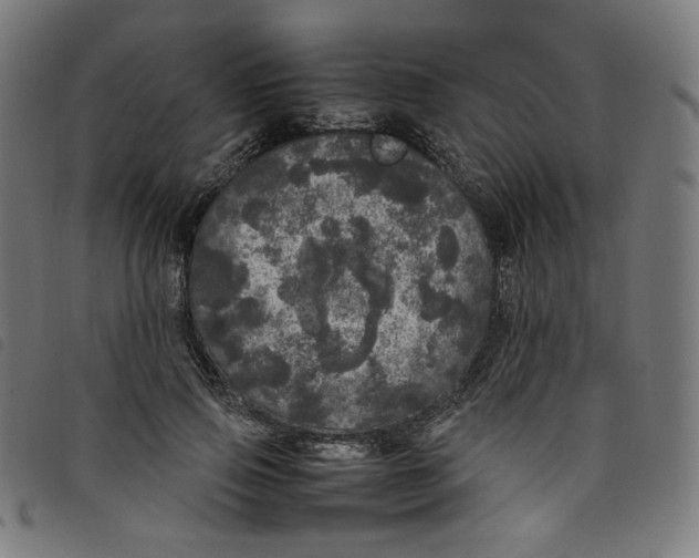 X0000098120741200804251451