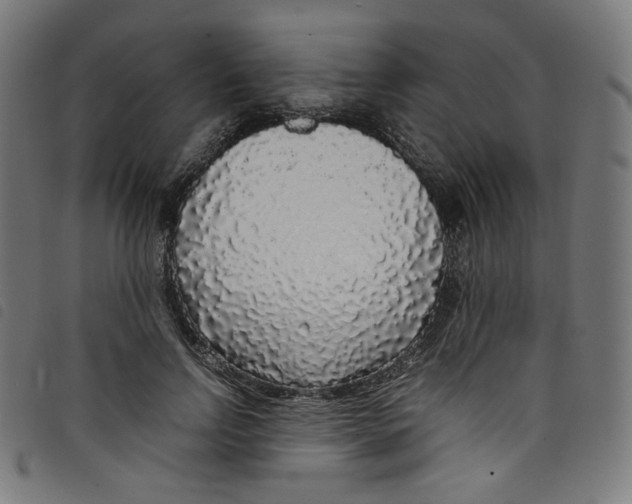 X0000098120742200804251451