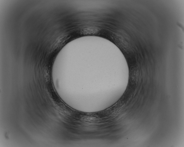 X0000098120743200804251451