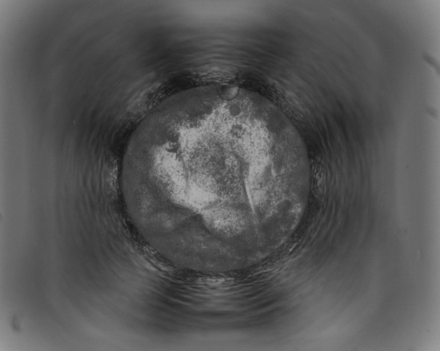 X0000098120745200804251451