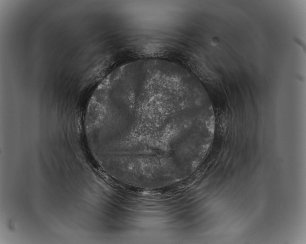 X0000098120746200804251451