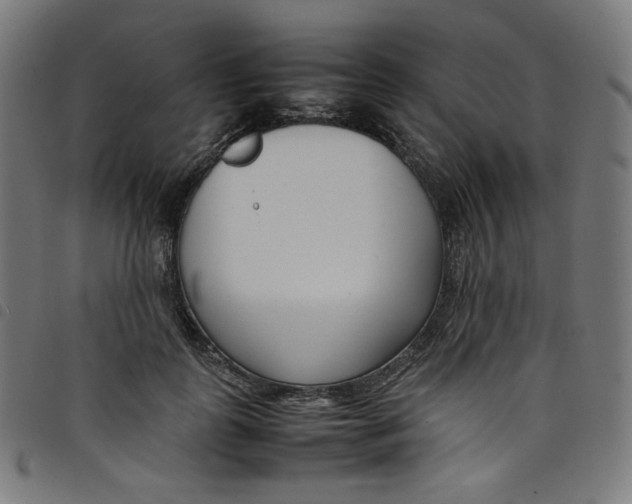 X0000098120747200804251451