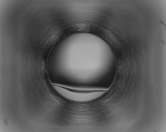 X0000098120748200804251451