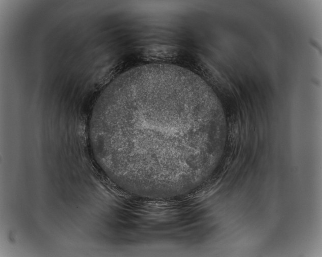 X0000098120749200804251451