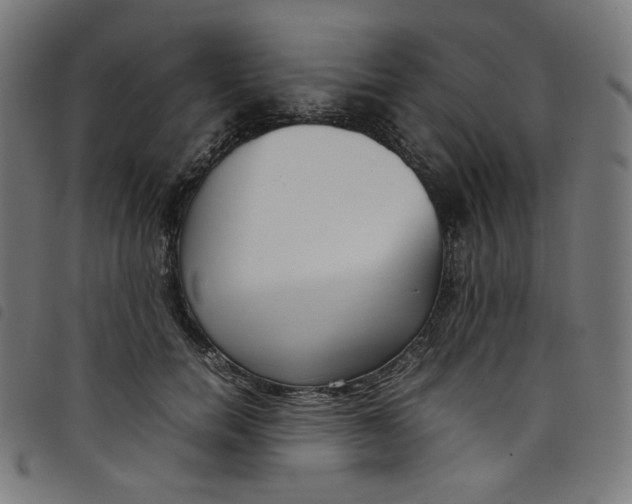 X0000098120750200804251451