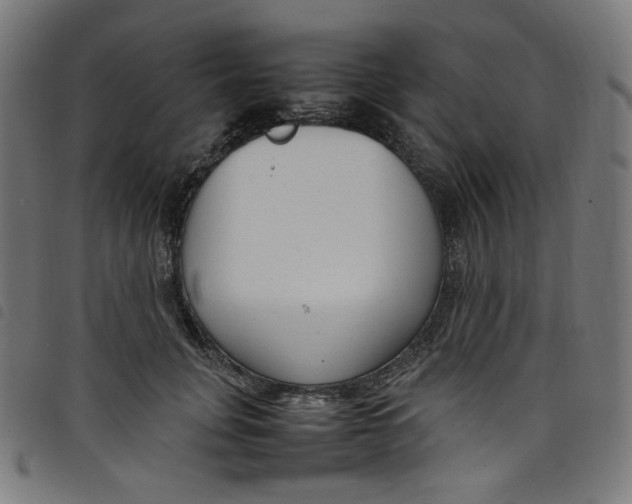 X0000098120751200804251451