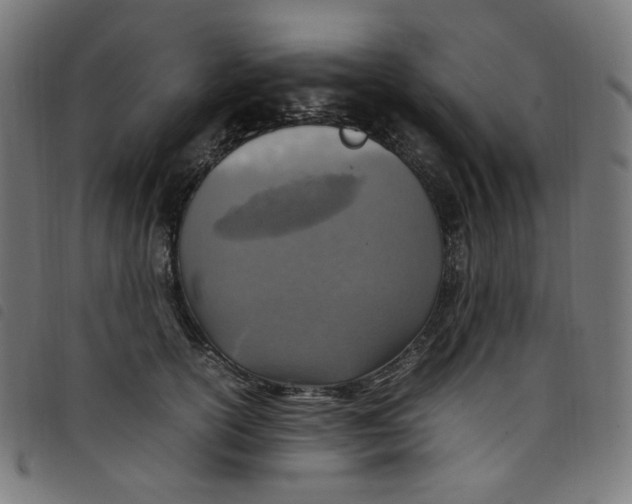 X0000098120754200804251451