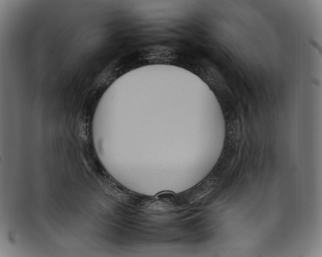 X0000098120755200804251451