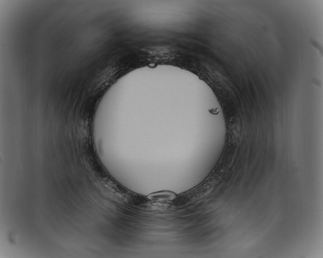 X0000098120756200804251451