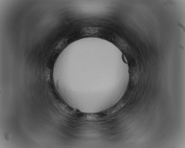X0000098120758200804251451
