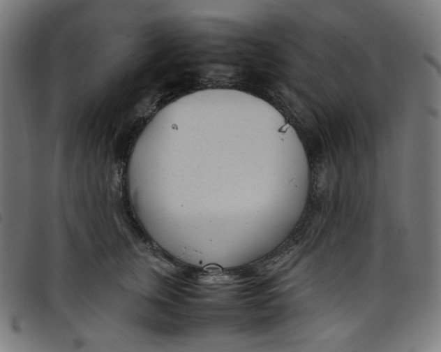 X0000098120759200804251451