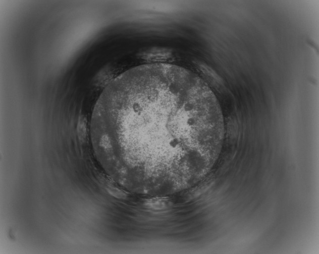 X0000098120761200804251452