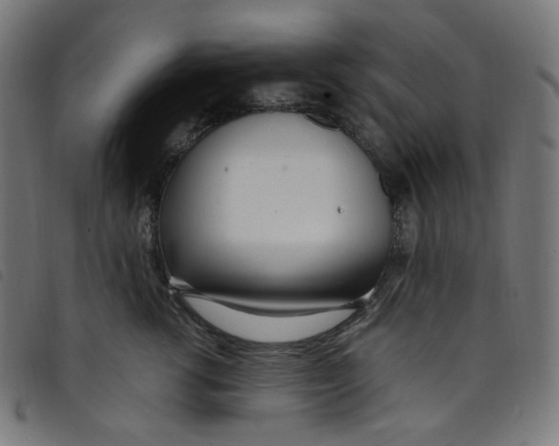X0000098120762200804251452