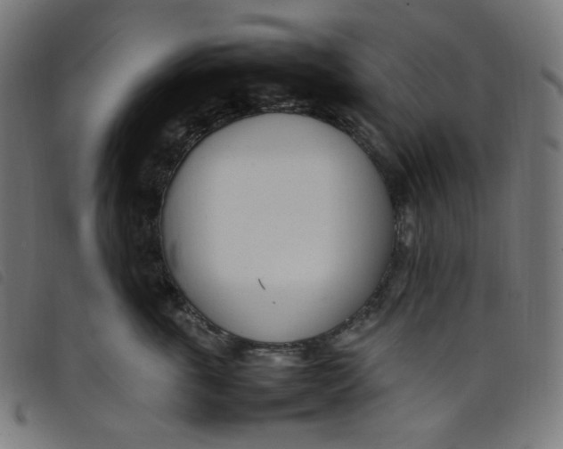 X0000098120763200804251452