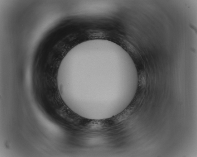 X0000098120764200804251452