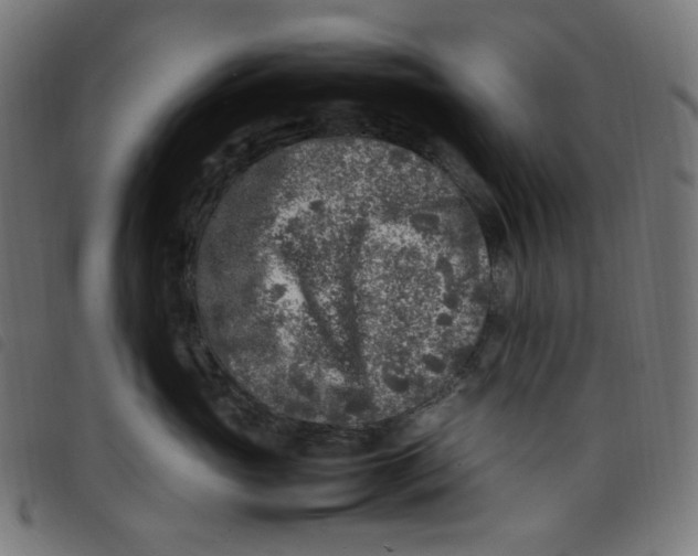 X0000098120765200804251452