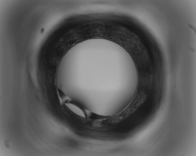X0000098120766200804251452