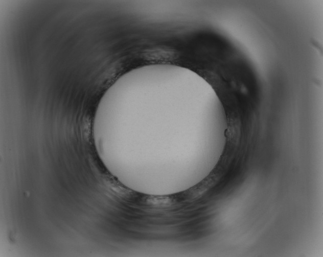 X0000098120767200804251452