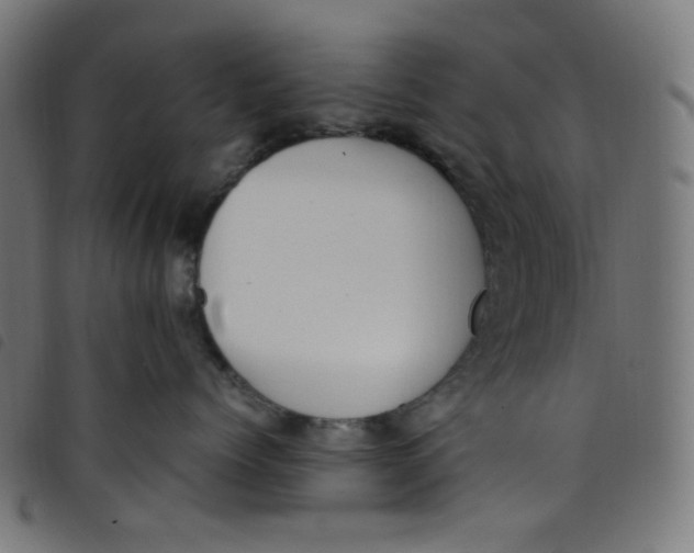 X0000098120768200804251452