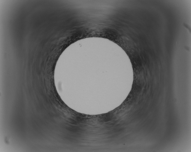 X0000098120769200804251451