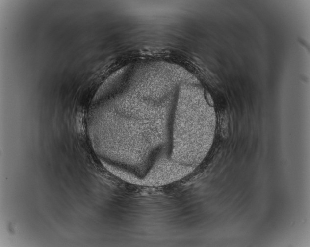 X0000098120770200804251451