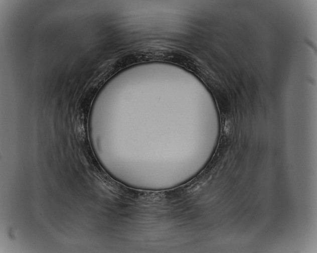 X0000098120771200804251451