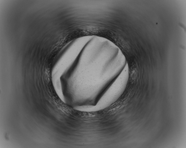 X0000098120772200804251451