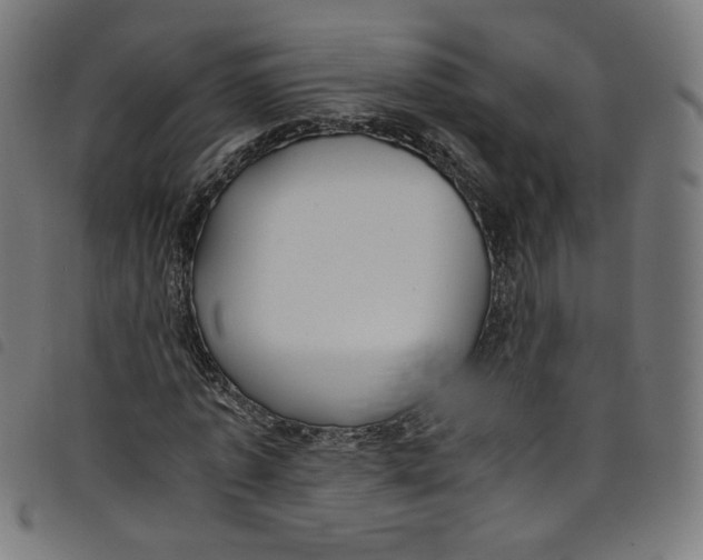 X0000098120773200804251451