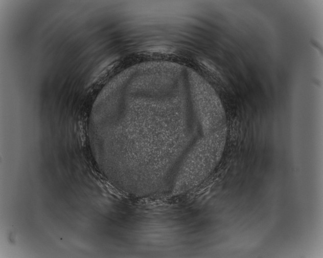 X0000098120774200804251451