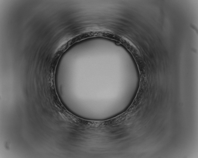 X0000098120775200804251451