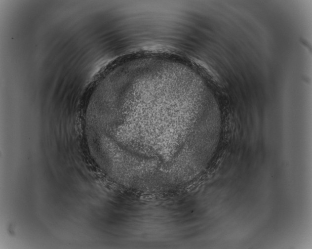 X0000098120776200804251451