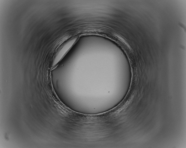 X0000098120777200804251451