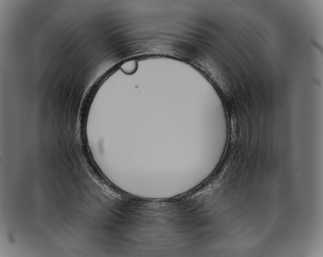 X0000098120780200804251451
